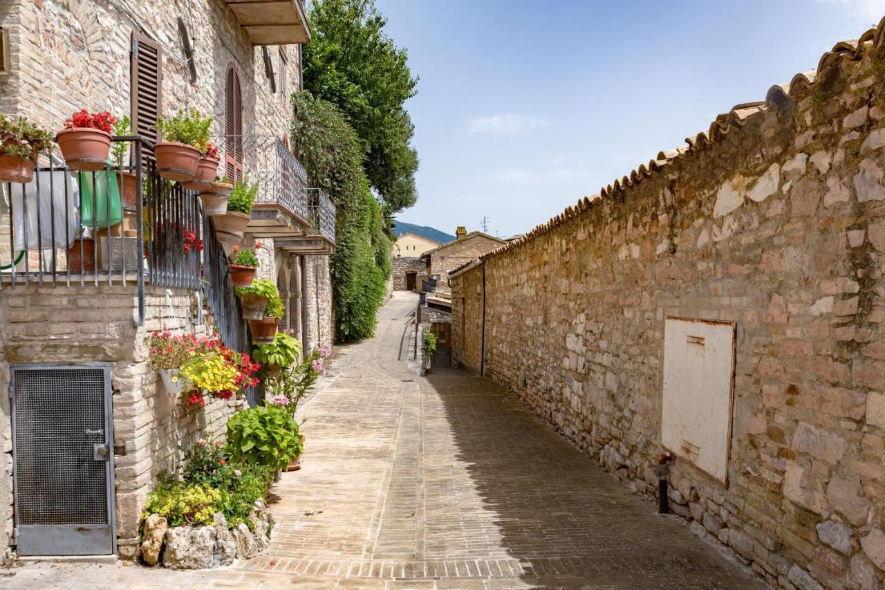 Rustic House, Con Patio E Giardino, Assisi Centro 빌라 외부 사진